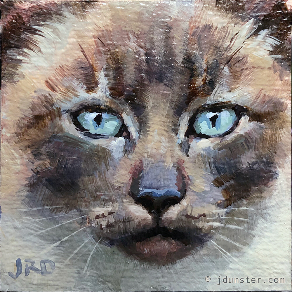 Mini Siamese Kitty and other paintings - J Dunster Art Blog - Oil ...